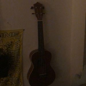 Concert ukelele